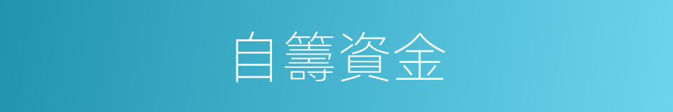 自籌資金的意思