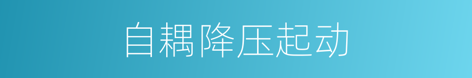 自耦降压起动的同义词