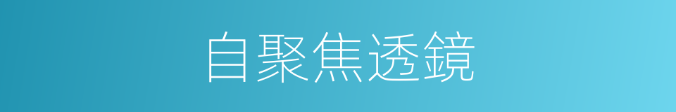 自聚焦透鏡的同義詞