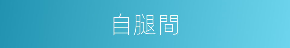 自腿間的同義詞