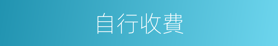 自行收費的同義詞