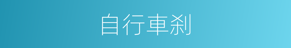 自行車刹的同義詞