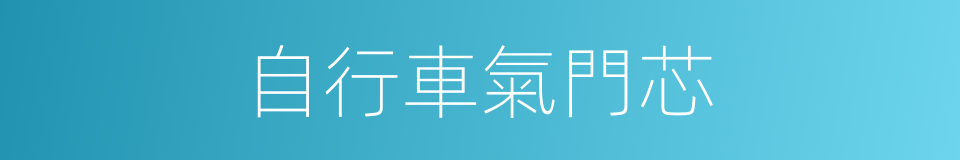 自行車氣門芯的同義詞