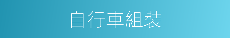 自行車組裝的同義詞