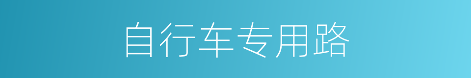 自行车专用路的同义词