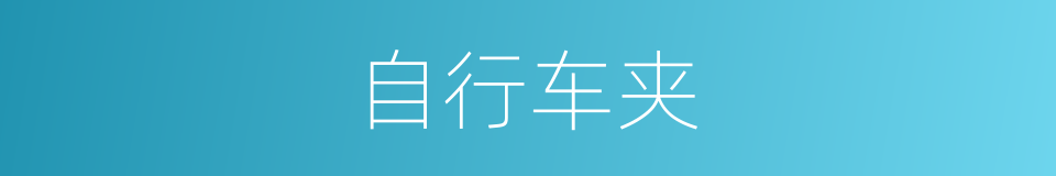 自行车夹的同义词