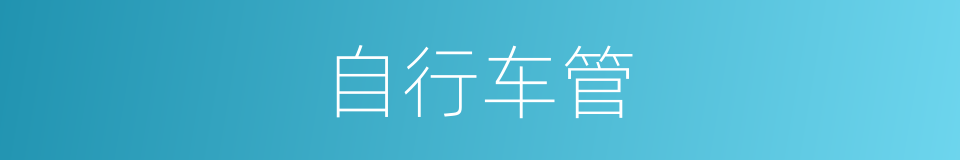 自行车管的同义词