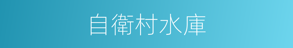 自衛村水庫的同義詞