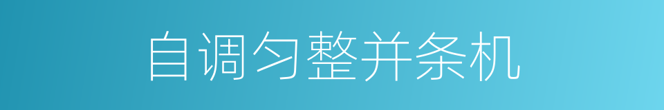 自调匀整并条机的同义词