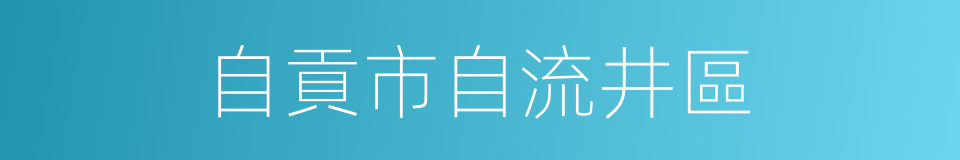 自貢市自流井區的同義詞