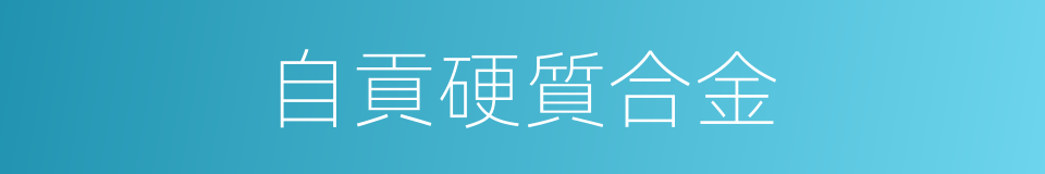 自貢硬質合金的同義詞