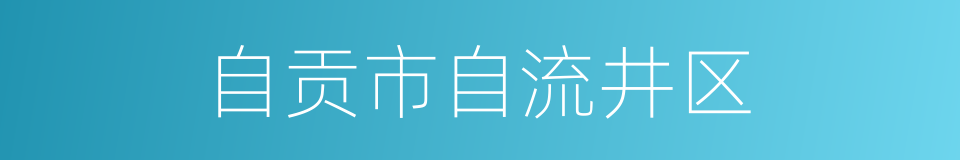 自贡市自流井区的同义词