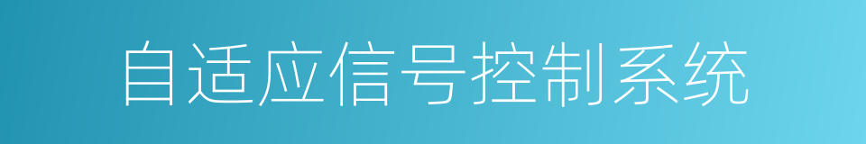 自适应信号控制系统的同义词