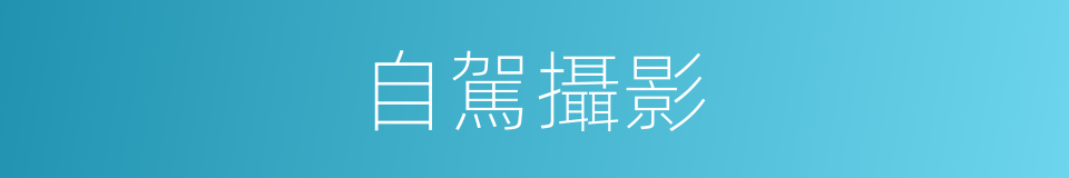 自駕攝影的同義詞