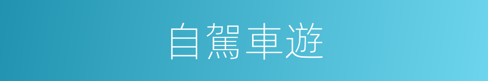 自駕車遊的同義詞