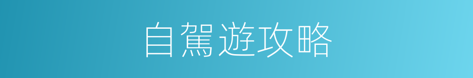 自駕遊攻略的同義詞
