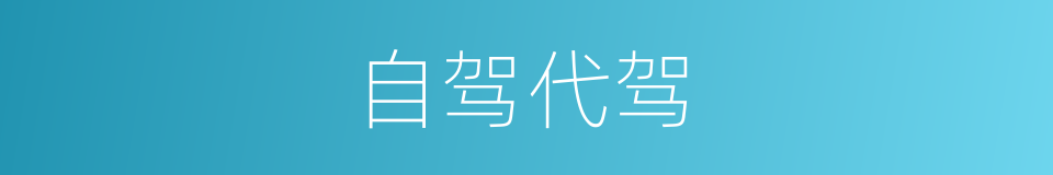 自驾代驾的同义词
