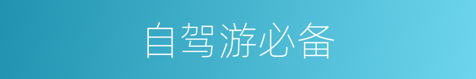 自驾游必备的同义词