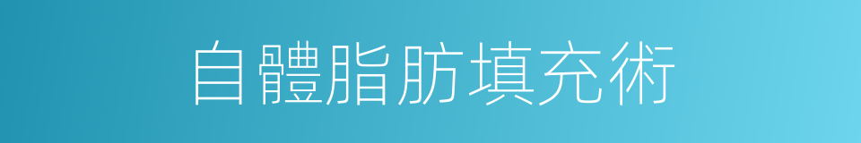 自體脂肪填充術的同義詞