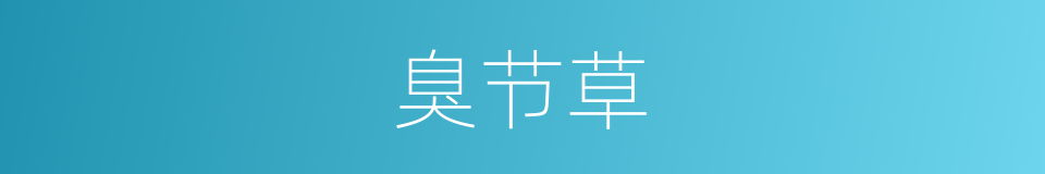 臭节草的同义词
