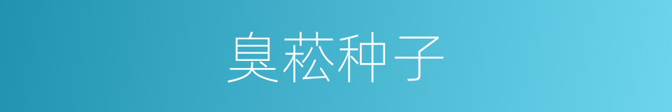 臭菘种子的同义词