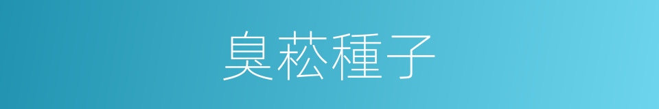 臭菘種子的同義詞