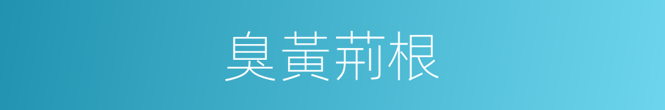 臭黃荊根的同義詞