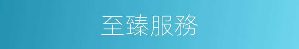 至臻服務的同義詞