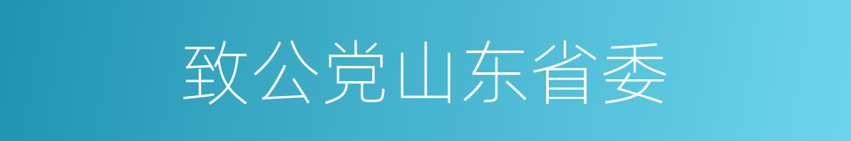 致公党山东省委的同义词