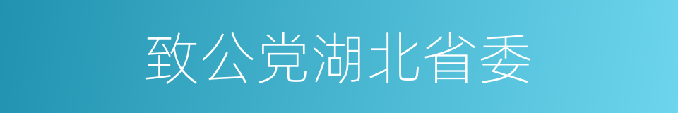 致公党湖北省委的同义词