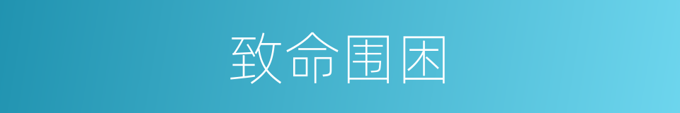致命围困的同义词