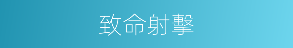 致命射擊的同義詞