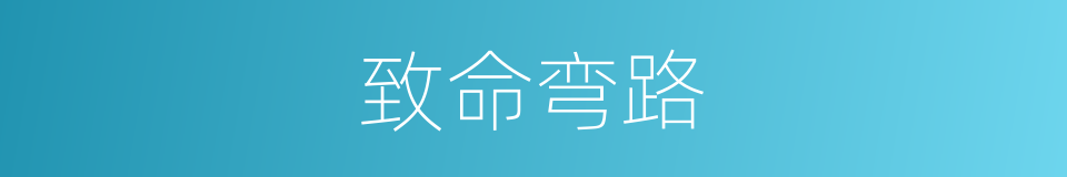 致命弯路的同义词