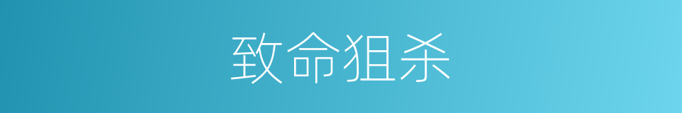 致命狙杀的同义词