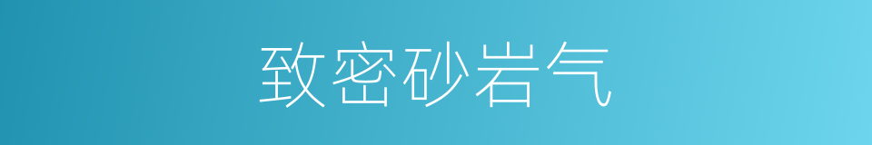 致密砂岩气的同义词