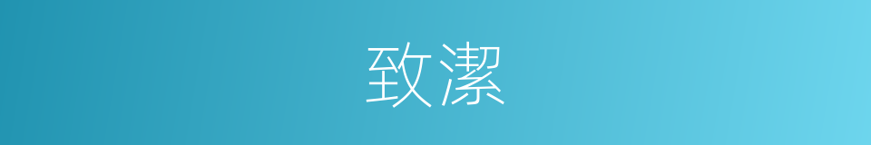 致潔的同義詞