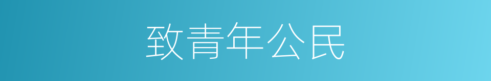 致青年公民的意思