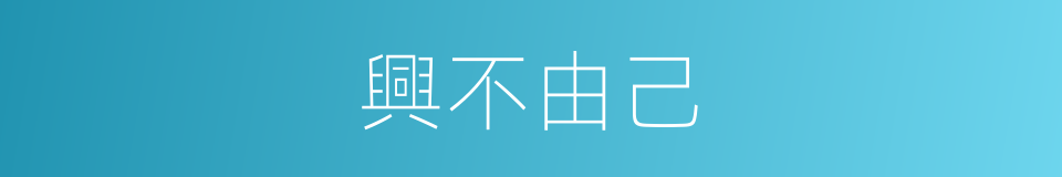 興不由己的意思