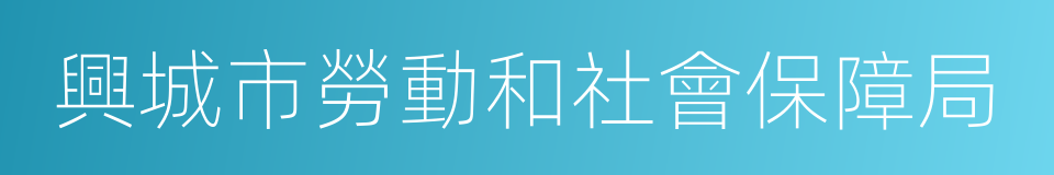 興城市勞動和社會保障局的同義詞