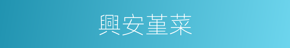 興安堇菜的同義詞
