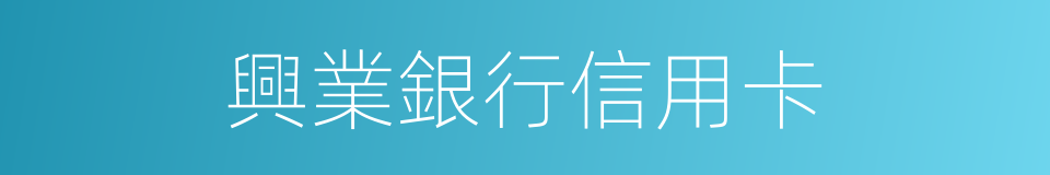 興業銀行信用卡的同義詞