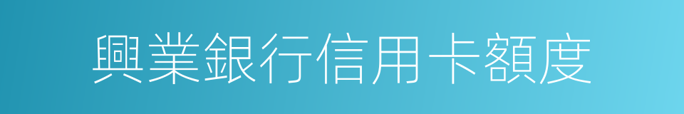 興業銀行信用卡額度的同義詞