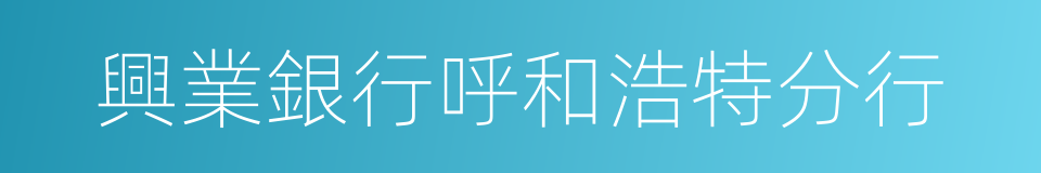 興業銀行呼和浩特分行的同義詞