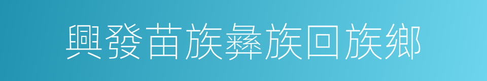 興發苗族彝族回族鄉的同義詞