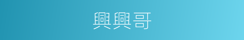 興興哥的同義詞