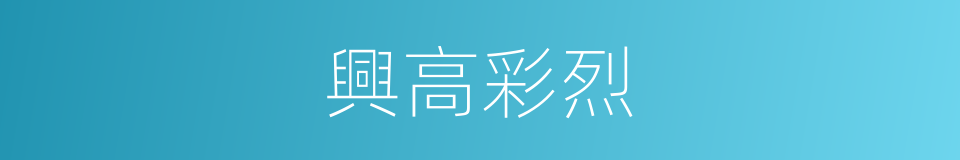 興高彩烈的意思
