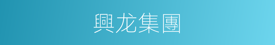 興龙集團的同義詞