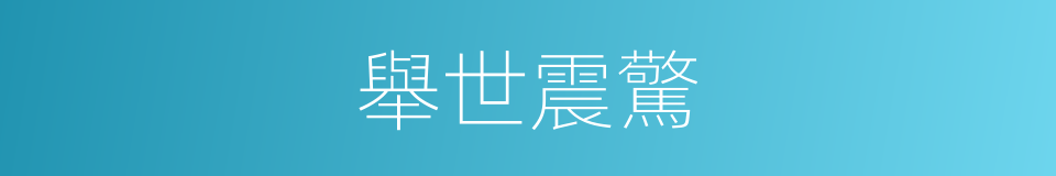 舉世震驚的意思