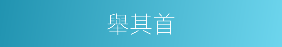 舉其首的同義詞