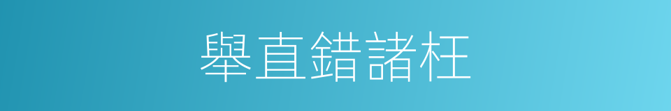 舉直錯諸枉的意思